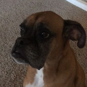 Meet your Posher, Loralee